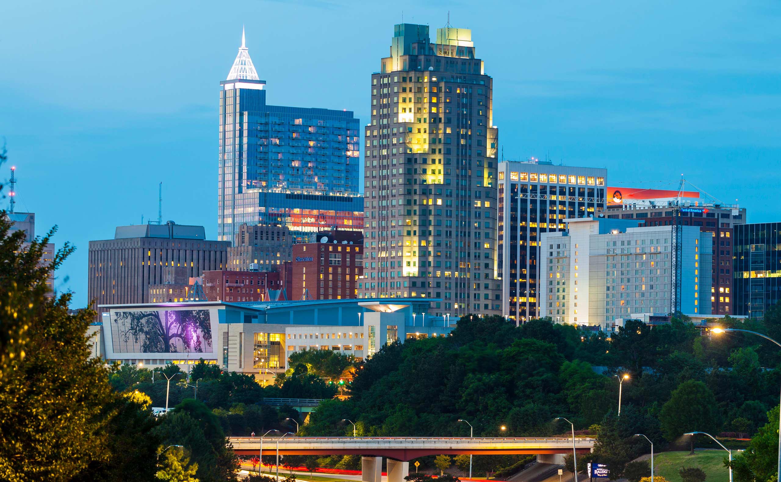Raleigh cityscape