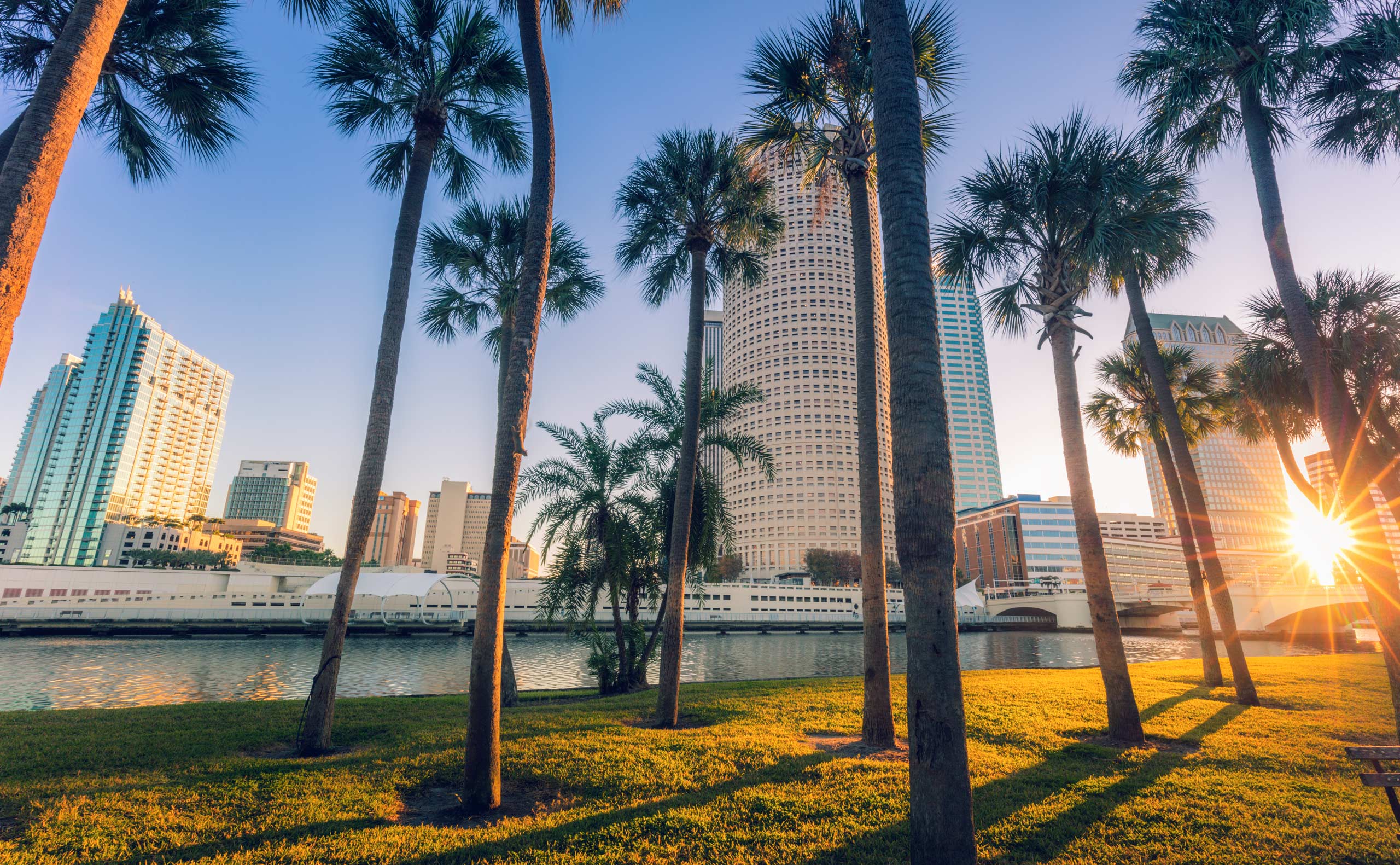 Tampa landscape with tress and water