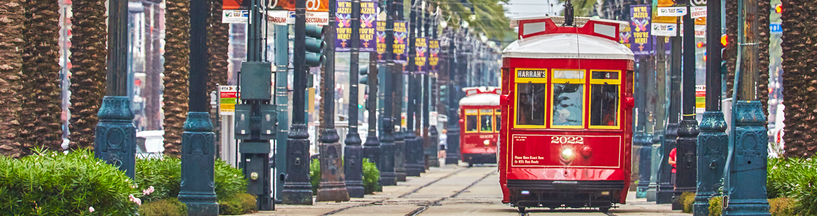 The city of New Orleans - skyline.