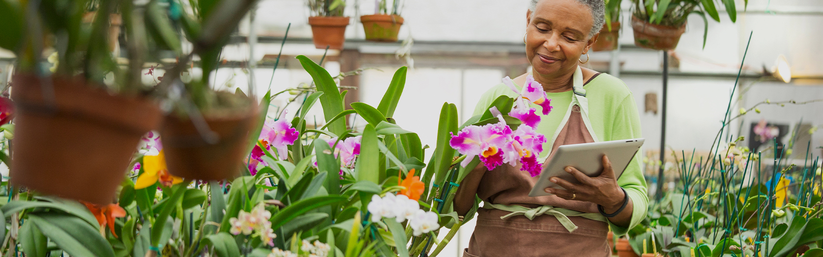 An African-American woman accessing her First Horizon Small Business account in a greenhouse